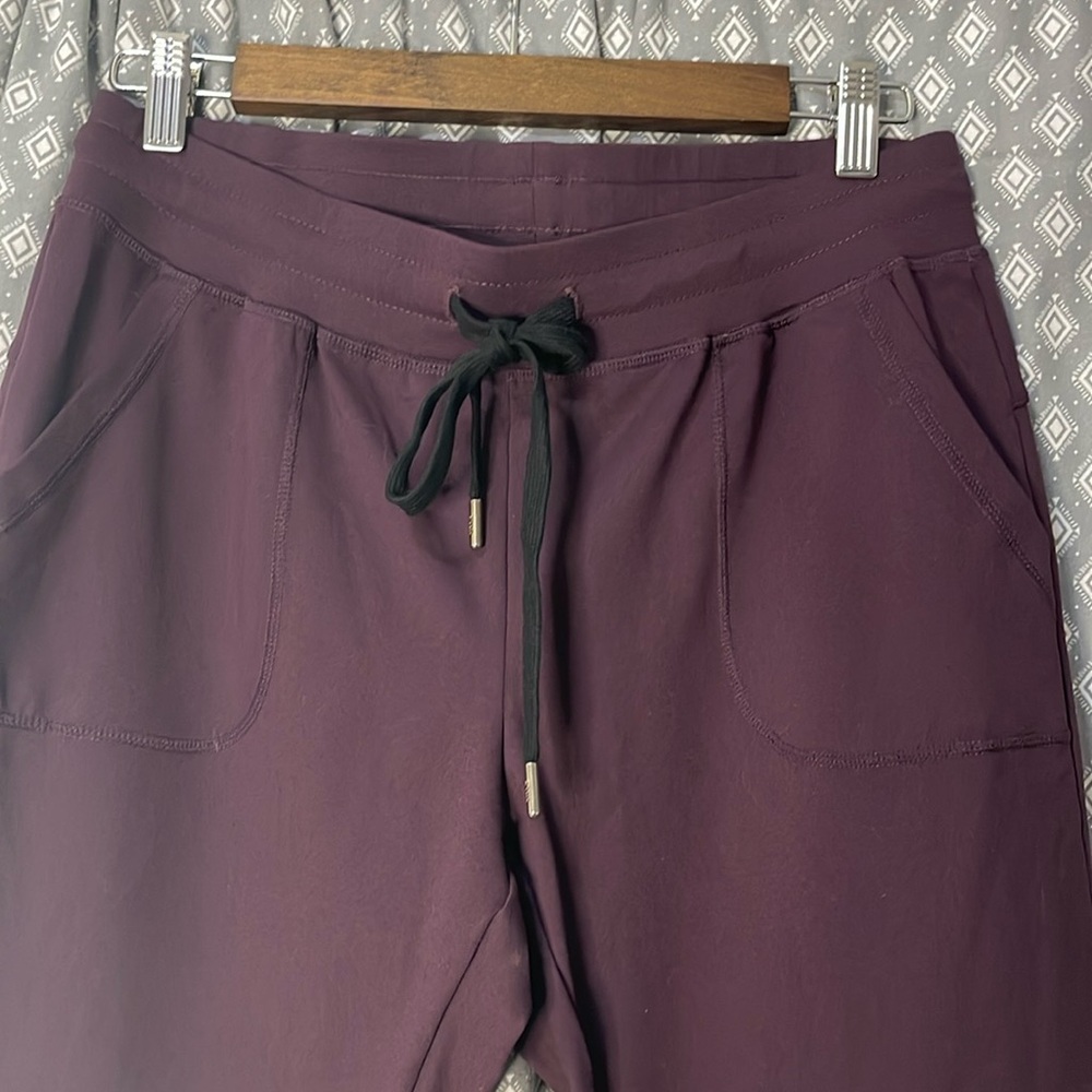Zyia Plum Joggers